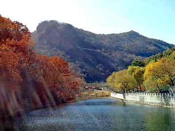 管家婆黑白马报图库，蟾酥价格